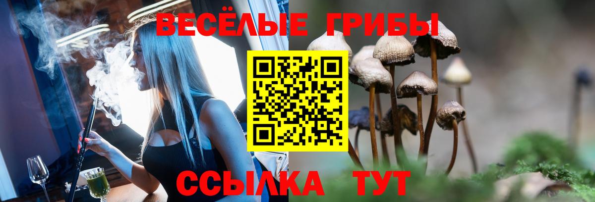 Галлюциногенные грибы MAGIC MUSHROOMS  Вход с VPN  Выборг 